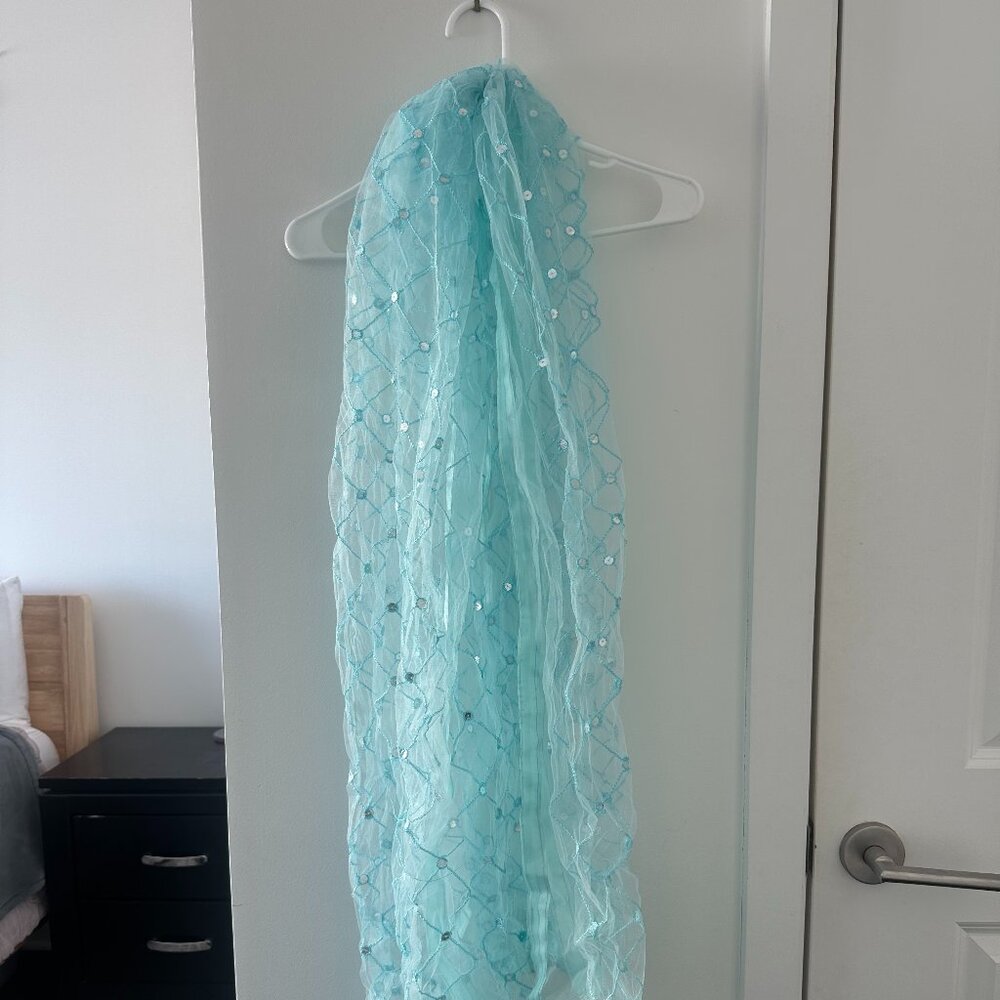Teal and Silver Dupatta